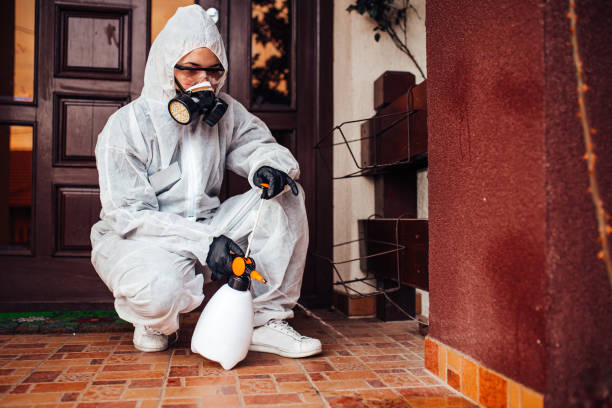 Reliable Cockroach Control contractor in Plainsboro Center, NJ by Nex Pest Control